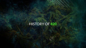 History Behind 420 Educational