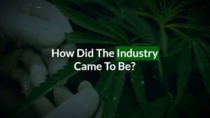 How The Cannabis Industry Came To Be