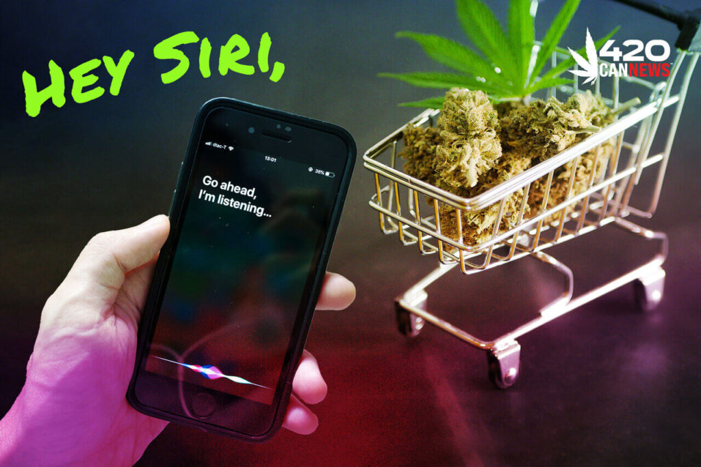 Weed Delivery Apps, cannabis delivery app, best weed apps