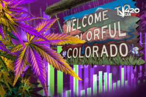How is Marijuana Lighting Up State Budgets?