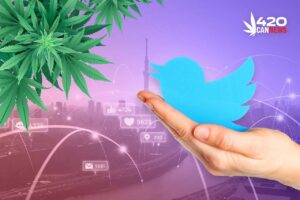 Twitter Advertising Agency, marijuana advertising, Twitter cannabis ads, marijuana advertising