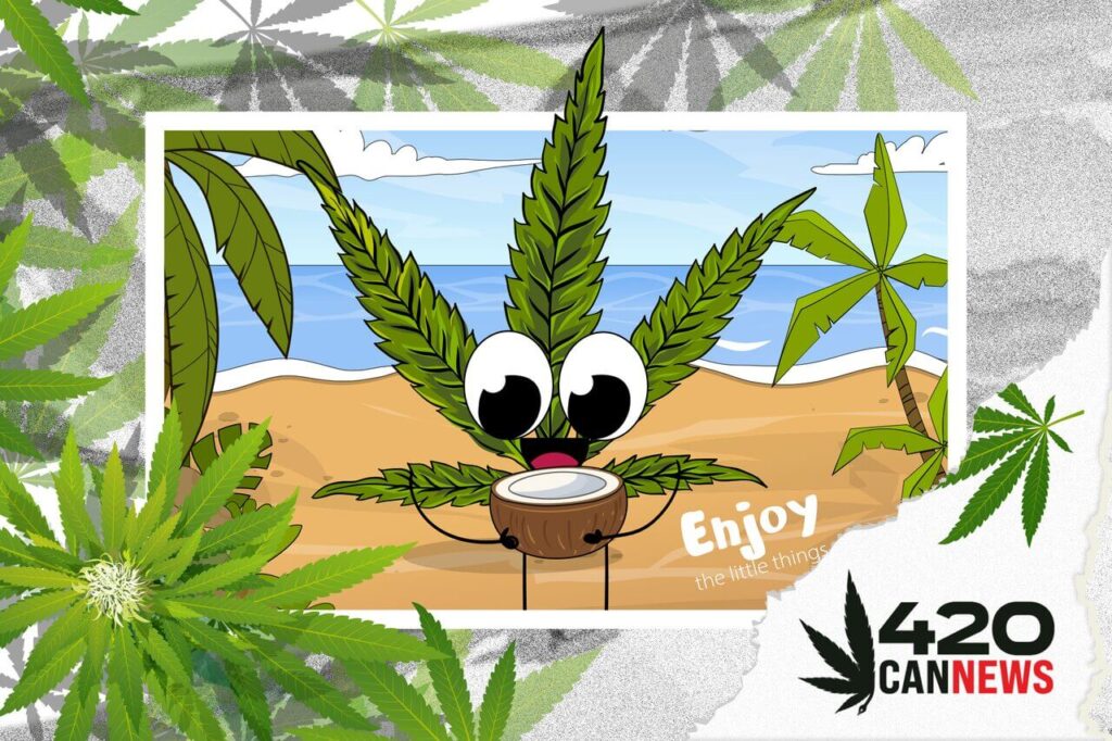 420 friendly vacation ideas, 420 vacations, cannabis music festival, cannabis tourism, best way to consume cannabis