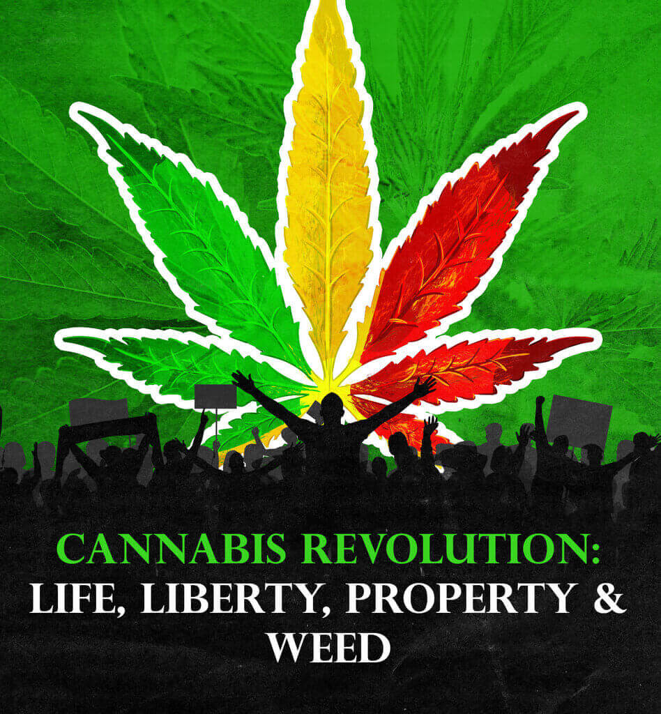 cannabis revolution, marijuana policy project, Americans for Safe Access, proposition 215, cannabis community