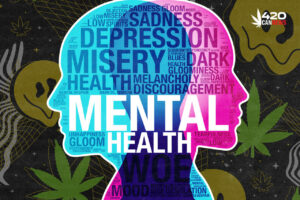 mental health goals, renewed mental health, mental health research topics, qualified mental health