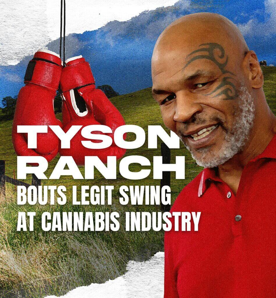 Tyson Ranch, cannabis industry news, Tyson Ranch Resort, Mike Tyson Ranch
