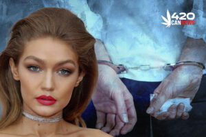 drug possession cases, Gigi Hadid 2023, beach resorts in cayman islands, cayman islands vacation, Cayman Marl Road