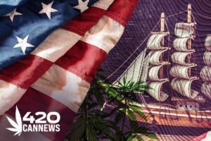 cannabis connection, columbus day 2023, leaves of cannabis, smoke a joint, hemp body oil