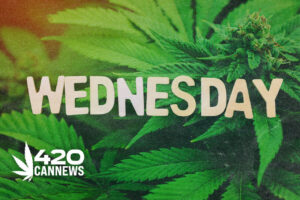 green wednesday, holiday promotional items, 420 holiday dispensary sales, dispensary holiday deals