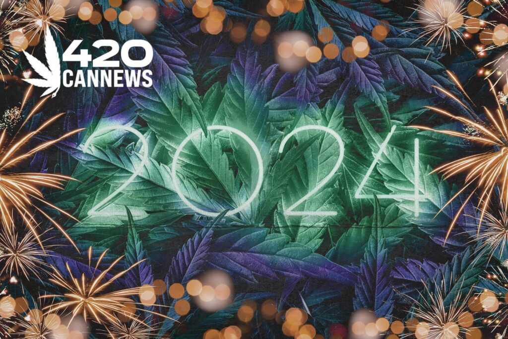 The Definitive Guide to Cannabis Trends in 2024