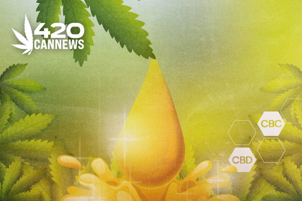 CBC vs. CBD: Similarities, Differences, and Benefits