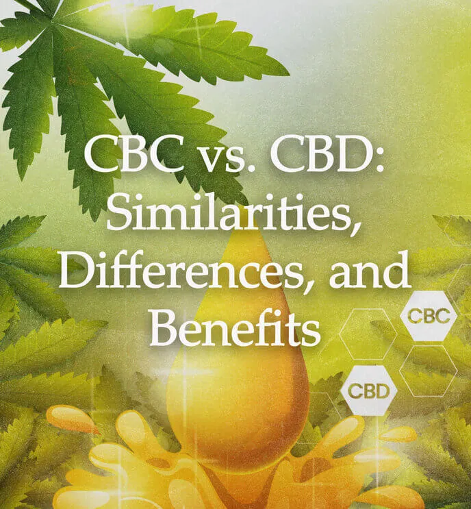 CBC vs. CBD: Similarities, Differences, and Benefits