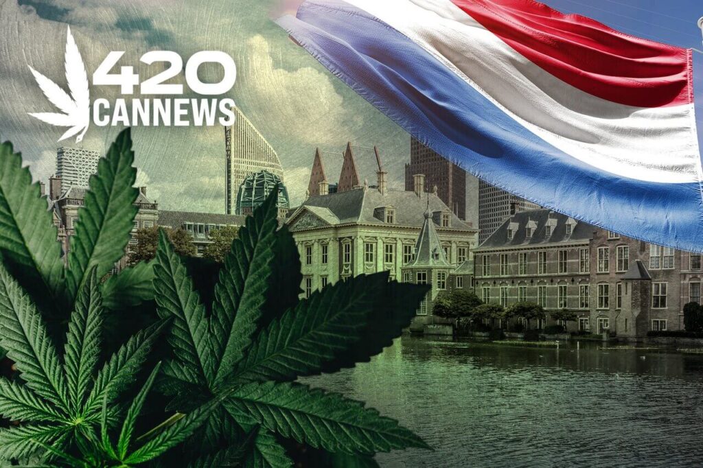 dutch weed, is weed legal in the netherlands, dutch cannabis laws