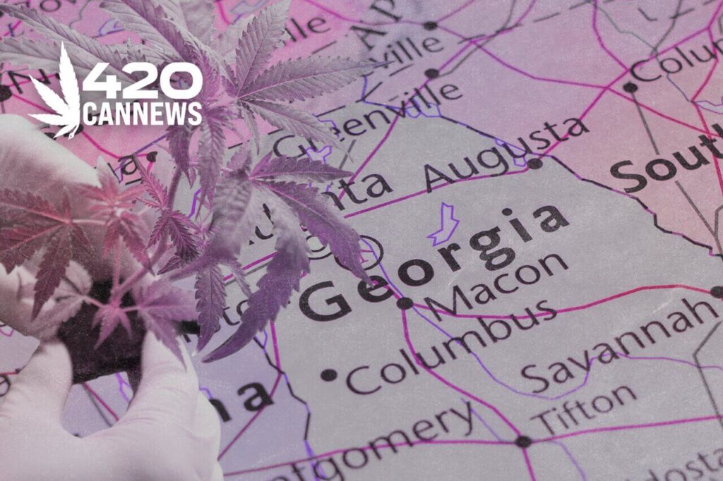 medical marijuana in georgia, medical cannabis in georgia, conflict between federal and state law