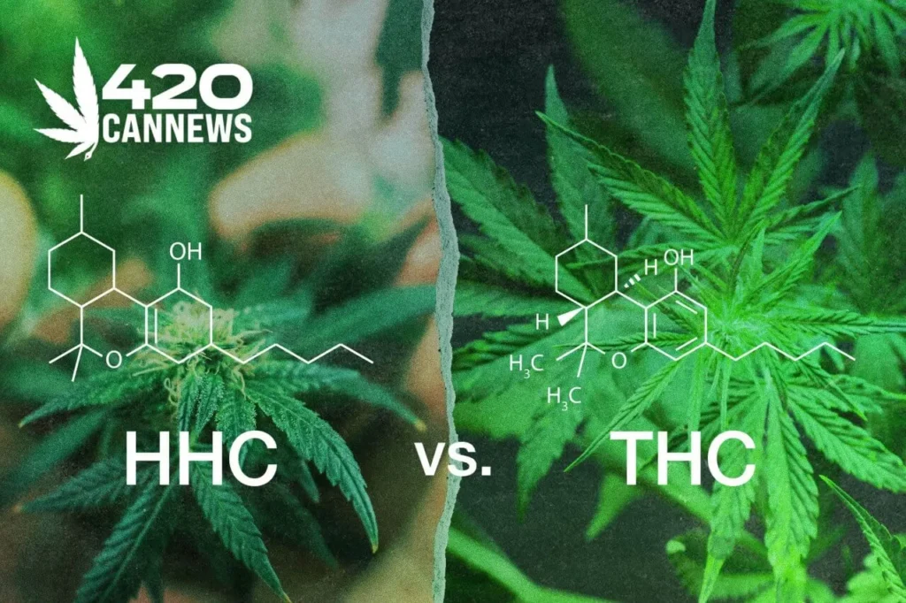 HHC vs THC