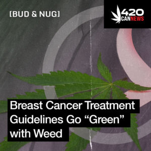 Breast Cancer Treatment Guidelines Go “Green” with Weed
