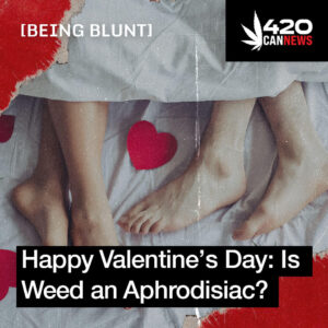 Happy Valentine’s Day: Is Weed an Aphrodisiac?
