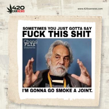 420CanNews_Meme-11_062823