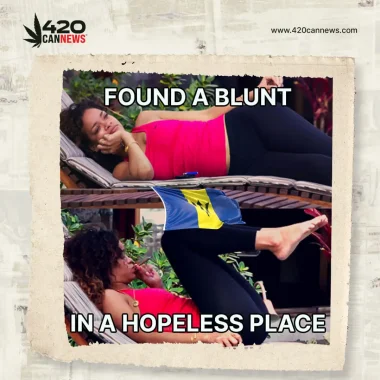 420CanNews_Meme-4_05.18.23