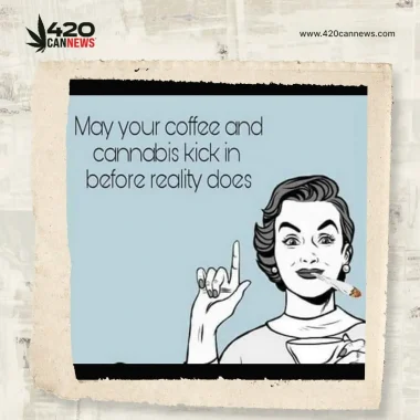 May your coffee and cannabis kick in before reality does