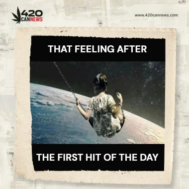 420cannews_meme_-_061623