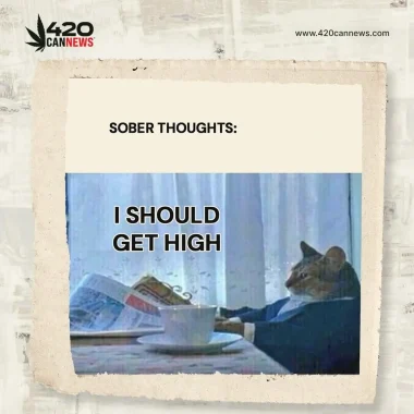 420cannews_meme_6_-_061623